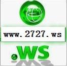 ws域名