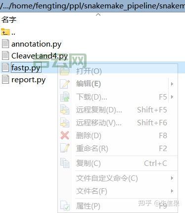 文件传输利器:最受欢迎的FTP服务器软件排名