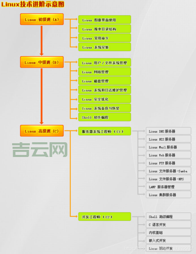 国内Linux主机市场全解析，选购指南看这里