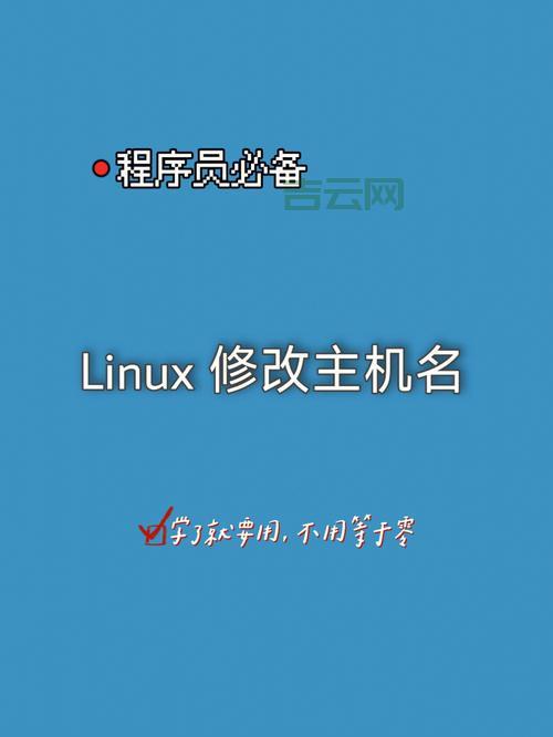 国内Linux主机市场全解析，选购指南看这里