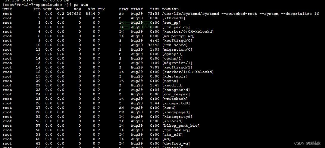 国内Linux主机市场全解析，选购指南看这里