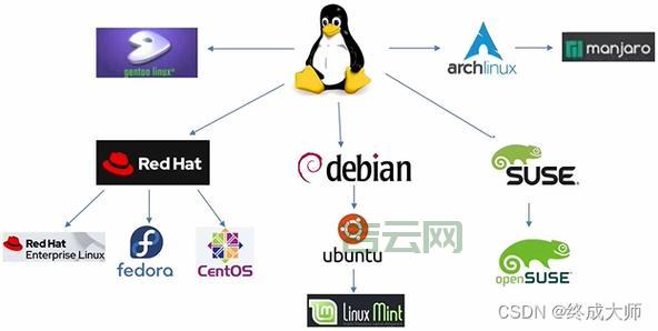 国内Linux主机市场全解析，选购指南看这里