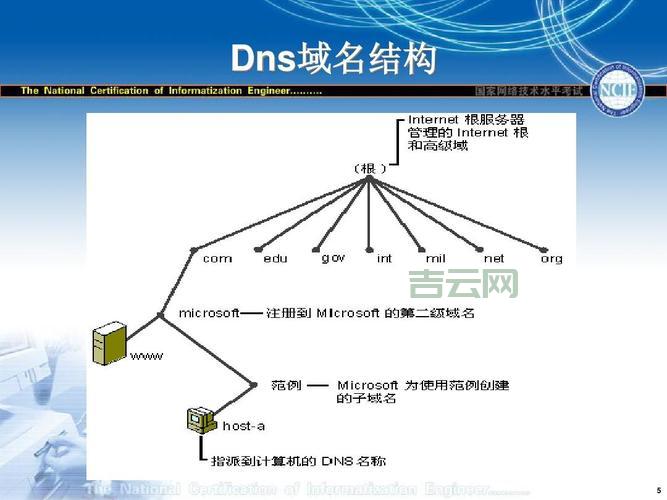 DNS服务器：互联网背后的秘密武器