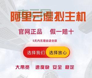 青岛虚拟主机优惠推荐，稳定、安全、易管理！