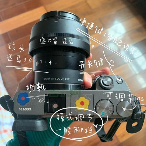 windows2000序列号怎么获取？新手小白看这里！