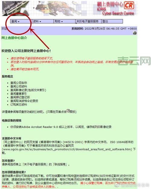 中文域名注册流程解析，新手必看