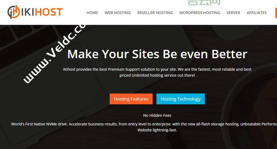 租用美国VPS：外贸企业搭建海外平台的最佳选择