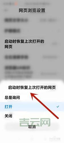 浏览器怎样设置网页打开最大化?详细步骤给你!