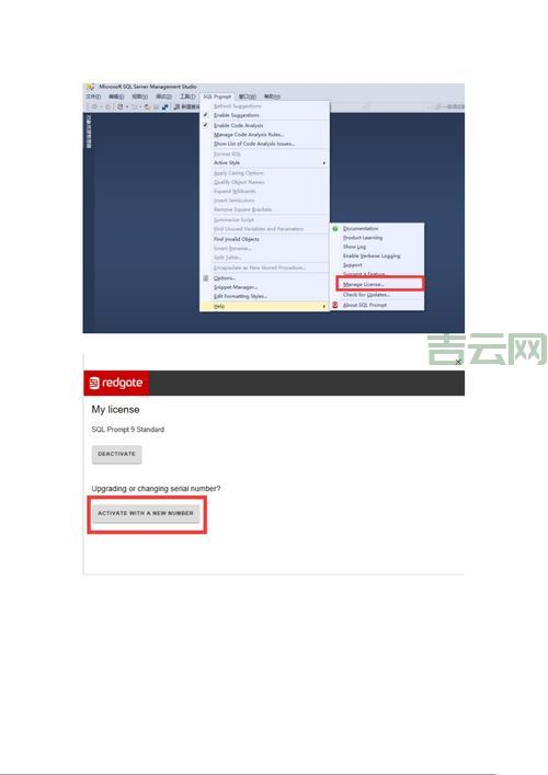sqlprompt激活码分享，内行人教你免费获取！