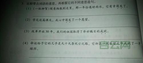 批处理注释怎么用？看完这篇就全明白了！