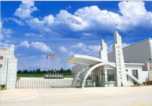 衡阳网站优化哪家好？这几家公司口碑不错！