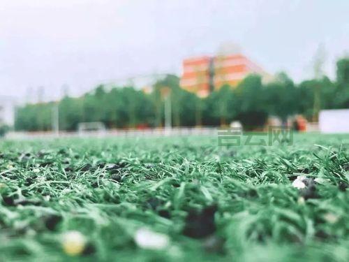 adapter模式有哪些好处？这3个优点真的很实用！