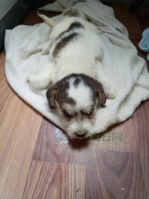 被叫做slave怎么办？这几种应对方法快收藏！