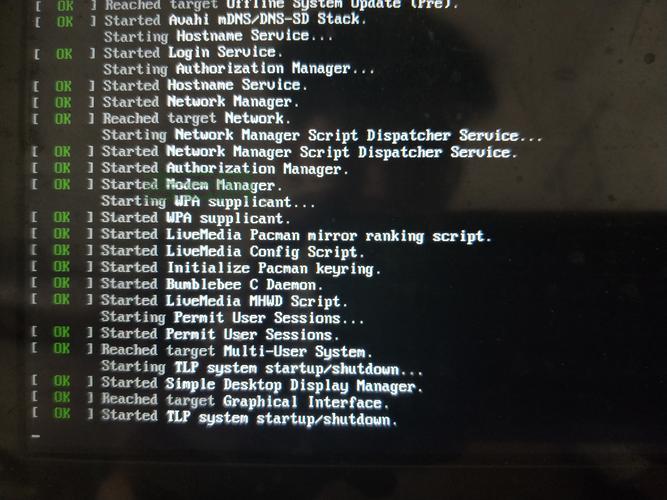 registerstartupscript