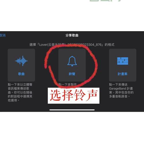 hidefocus怎么设置？手把手带你操作一遍！