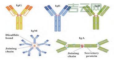 dialogresult和result有什么区别？一篇文章讲清楚！