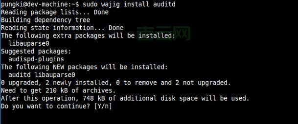服务器安全审计怎么做？新手也能看懂的教程！