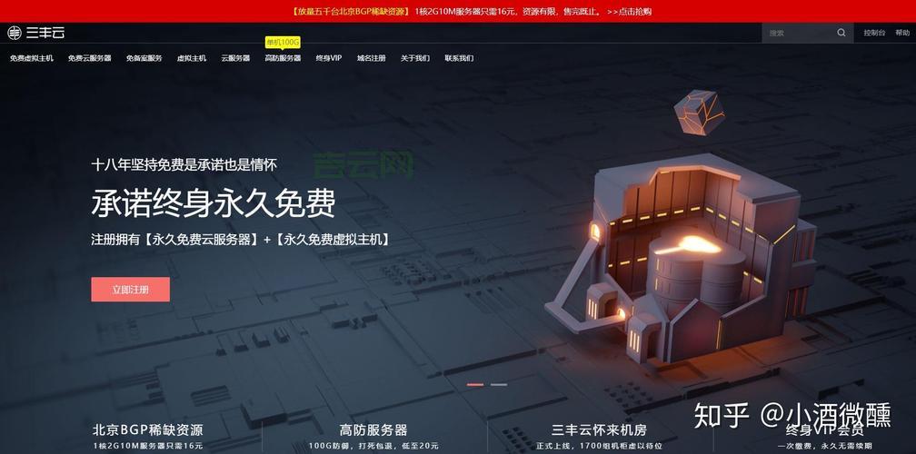 国内免备案主机速度快吗？真实用户体验分享！