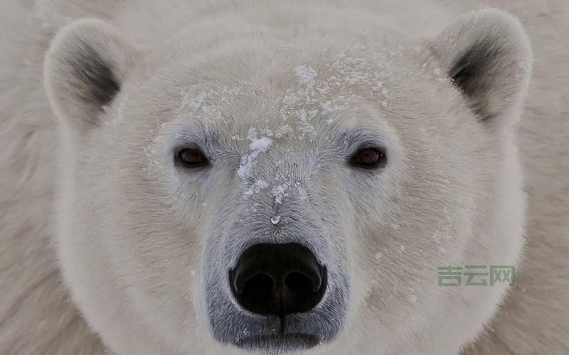 1440x900高清壁纸推荐，这些壁纸让你的电脑更好看！