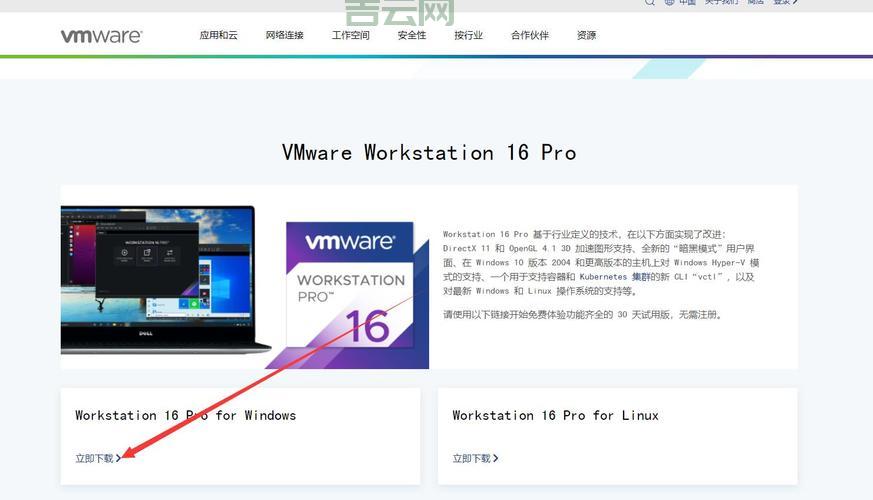 国外虚拟空间搭建网站:从购买到上线的详细教程!