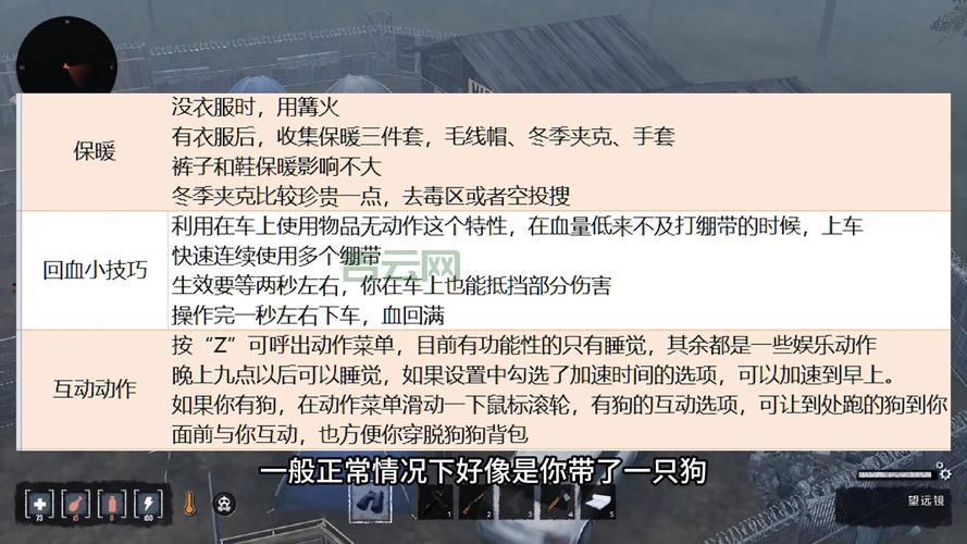 人狗大战JAVA代码咋写？新手也能看懂的教程！