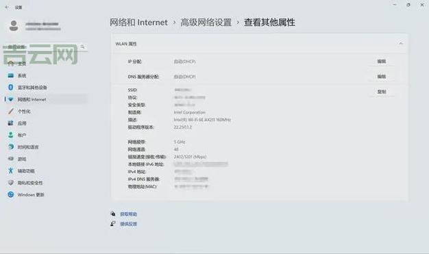 输入ip查域名怎么操作？新手也能快速上手！