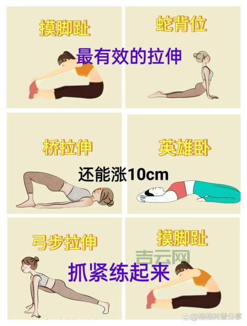 stretchdibits怎么用？详细步骤讲解，保姆级教程！