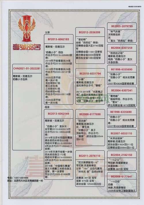 灰鸽子怎么上线？超详细的灰鸽子上线教程！