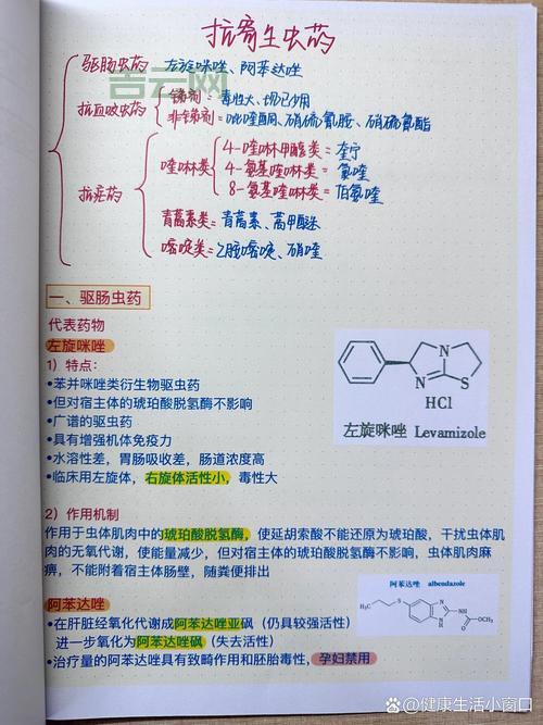 宿主化是什么意思？一篇文章带你看懂它的原理！
