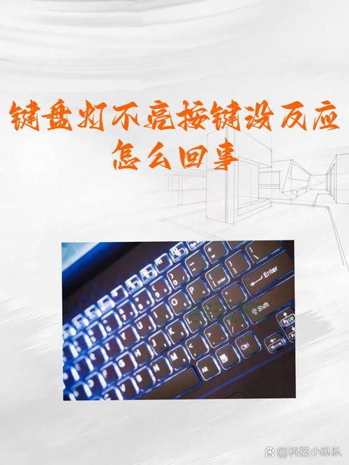 网页提交按钮没反应？常见原因和解决方法！