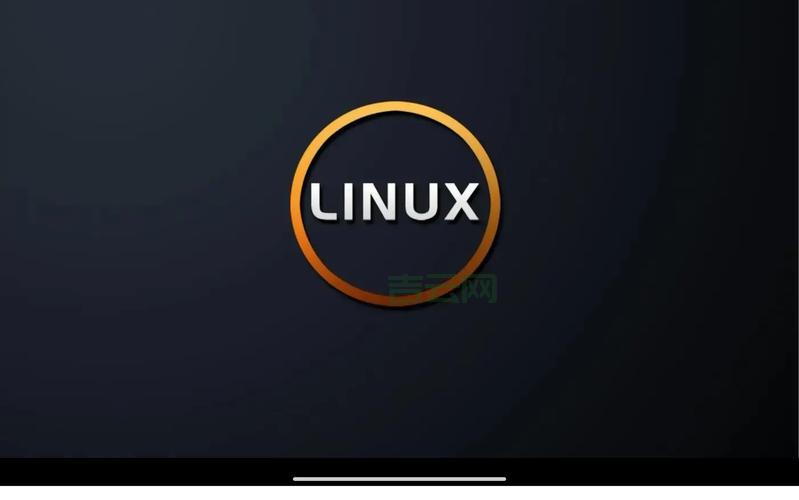 Linux 虚拟主机怎么选？新手小白看这篇就够了！