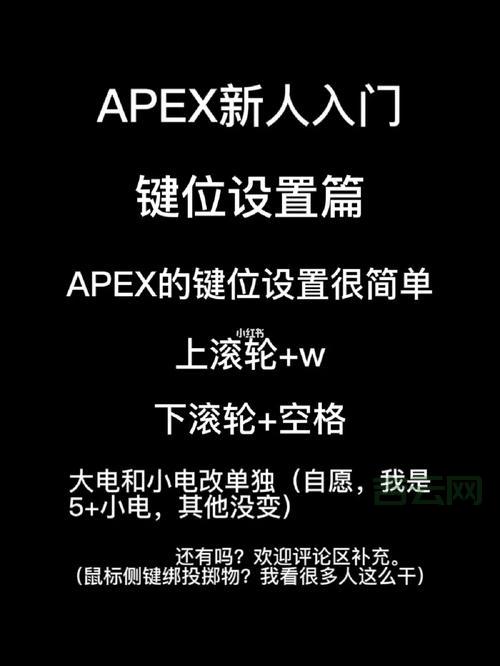 上海服务器租用哪家好？新手看这篇对比指南就够了！