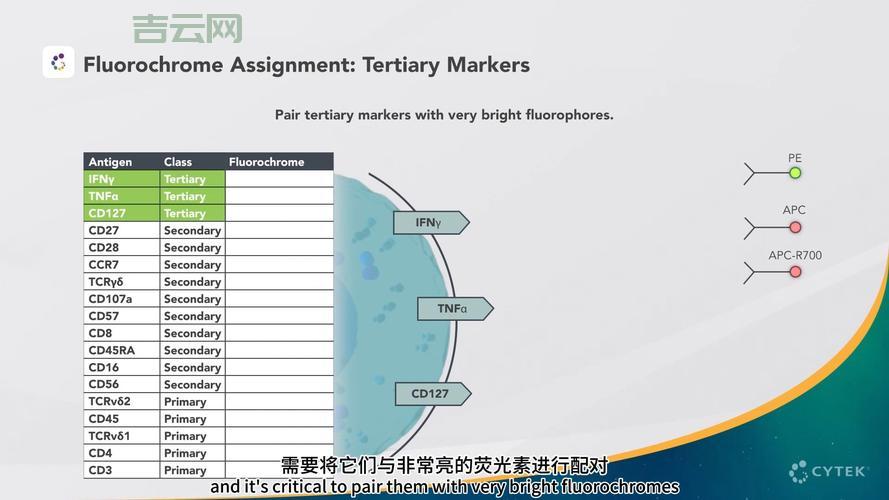 哪种panel滚动条样式更好用？对比分析帮你选出最佳方案。