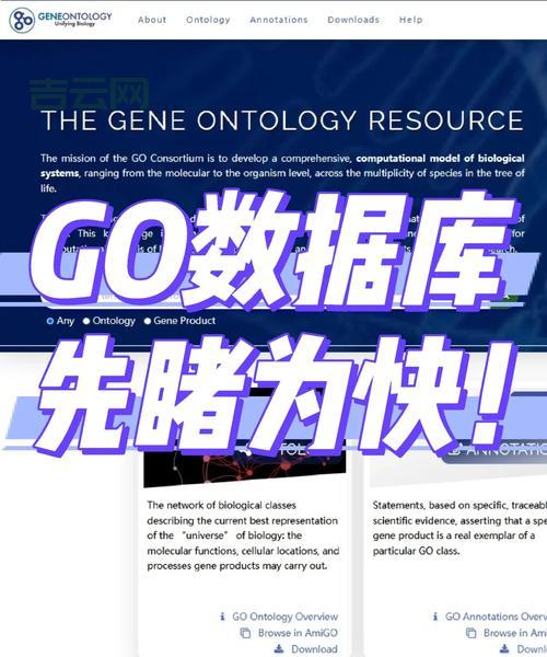 goagent配置参数看不懂?这份超详细说明让你彻底明白!