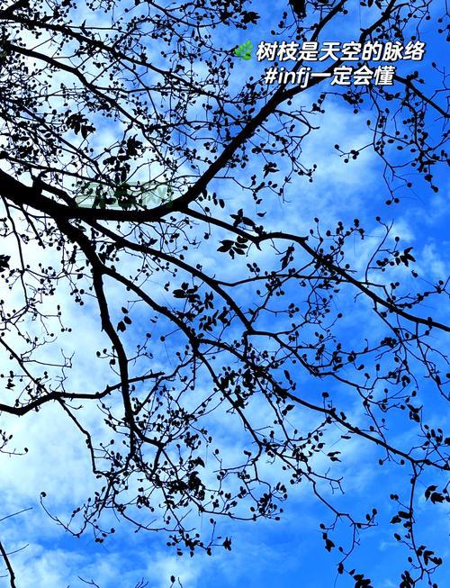 轻松搞定expandenvironmentstrings，小白也能学会！