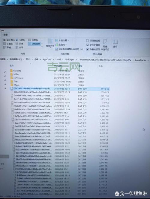 DAT文件用什么打开？小白也能学会的打开方式