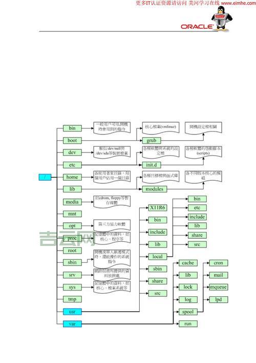 oracle dba的职业发展路径有哪些？看看资深人士怎么规划。