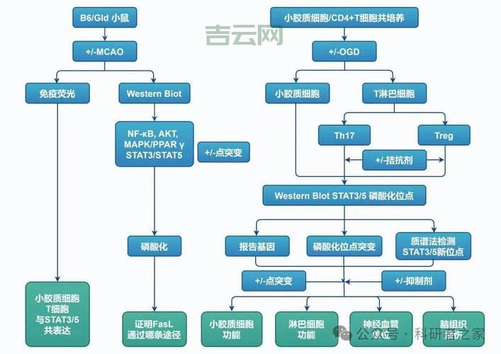 EventArgs作用是什么？事件处理机制的基石！