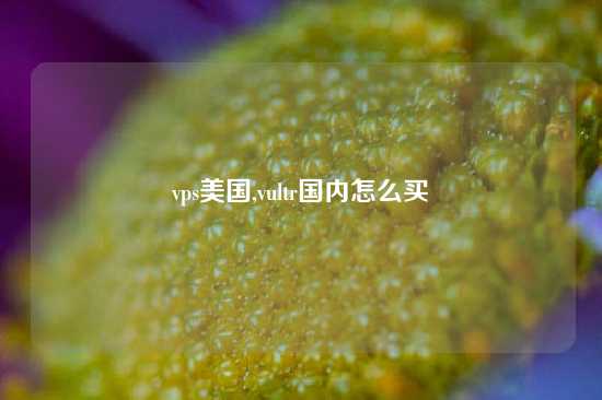 vps美国,vultr国内怎么买