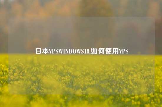 日本VPSWINDOWS18,如何使用VPS