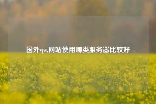 国外vps,网站使用哪类服务器比较好