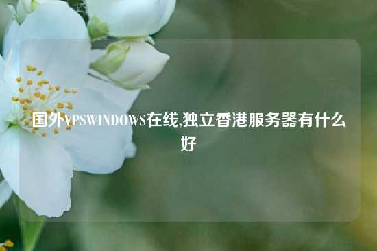 国外VPSWINDOWS在线,独立香港服务器有什么好