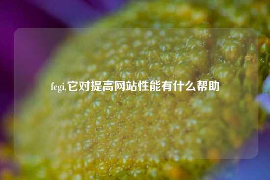 fcgi,它对提高网站性能有什么帮助