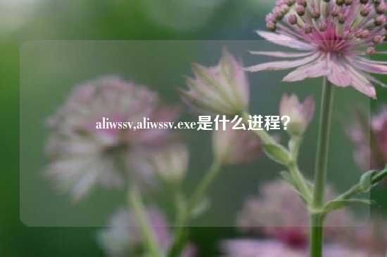 aliwssv,aliwssv.exe是什么进程？