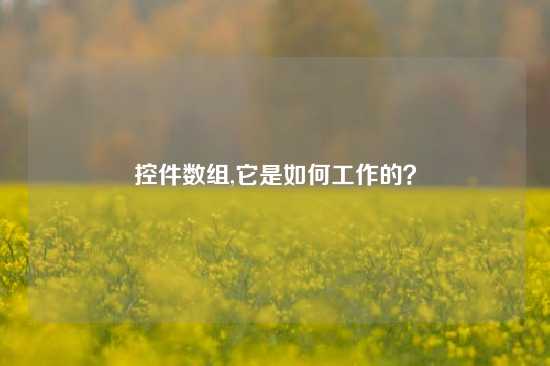 控件数组,它是如何工作的？