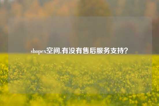 shopex空间,有没有售后服务支持？