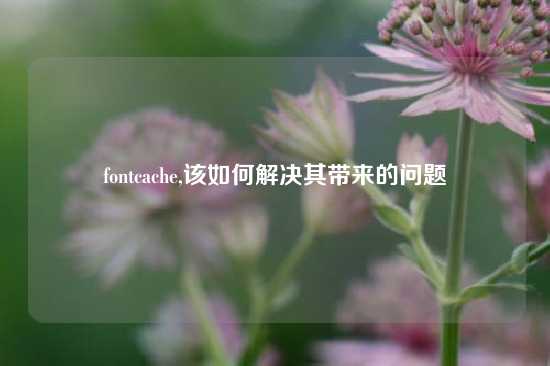fontcache,该如何解决其带来的问题