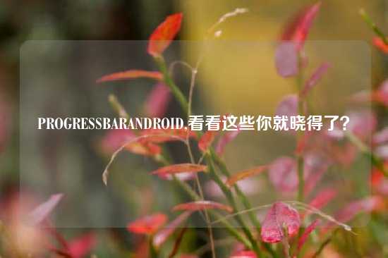 PROGRESSBARANDROID,看看这些你就晓得了？