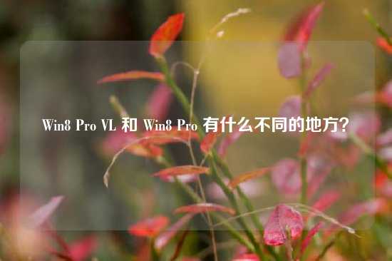 Win8 Pro VL 和 Win8 Pro 有什么不同的地方？