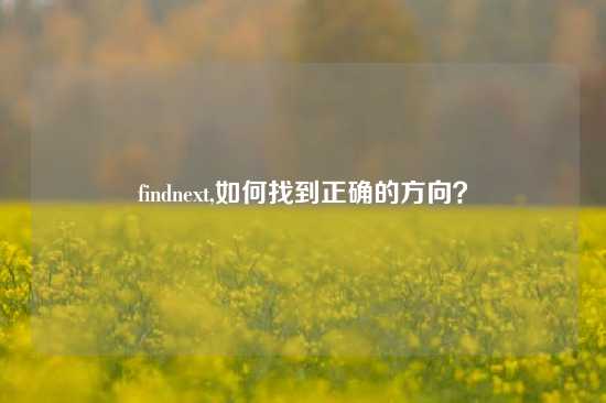 findnext,如何找到正确的方向？